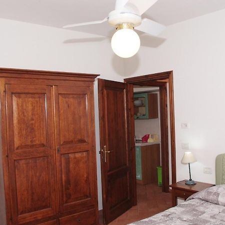 Villa Il Pino Bioagricoltura Terranuova Bracciolini Exterior foto