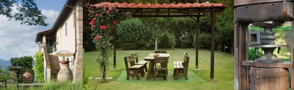 Villa Il Pino Bioagricoltura Terranuova Bracciolini Exterior foto